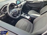 Certified 2022 Ford Escape SE w/ SE Sport Appearance Package image 3
