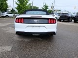 Used 2020 Ford Mustang Premium image 6