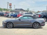 Certified 2022 Ford Mustang Premium image 3