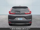 Used 2019 Honda CR-V LX image 5