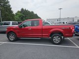 Certified 2019 Ford F150 XLT w/ Equipment Group 302A Luxury image 4