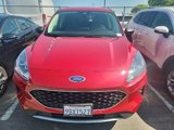 Used 2022 Ford Escape SE w/ Convenience Package image 2