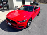 Used 2015 Ford Mustang Convertible w/ Equipment Group 051A image 4