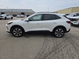 Used 2024 Ford Escape Platinum image 3