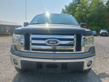 Used 2010 Ford F150 XLT image 5