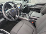 Used 2019 Ford F150 XLT w/ Equipment Group 302A Luxury image 3