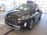 Used 2021 Ford Escape SEL image 3