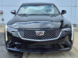 New 2025 Cadillac CT4 Premium Luxury image 2