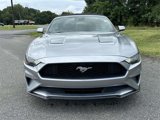 Used 2022 Ford Mustang Premium image 2