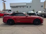Used 2019 Ford Mustang Convertible w/ Ecoboost Performance Package image 4