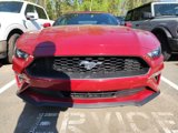 Certified 2023 Ford Mustang Premium image 2