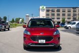 Used 2020 Ford Escape SE image 2