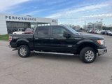 Used 2014 Ford F150 XLT w/ Equipment Group 302A Luxury image 4