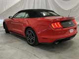 Used 2020 Ford Mustang Premium image 4