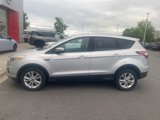Used 2017 Ford Escape SE w/ SE Cold Weather Package image 4