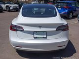 Used 2019 Tesla Model 3 Standard Range Plus image 6