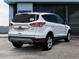 Used 2014 Ford Escape SE w/ Equipment Group 201A image 6