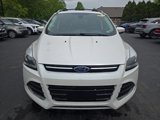 Used 2013 Ford Escape Titanium image 2