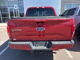 Used 2016 Ford F150 Lariat image 5