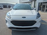Used 2020 Ford Escape SEL image 2