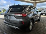 Used 2022 Ford Escape SE w/ Cold Weather Package image 5