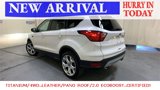 Used 2019 Ford Escape Titanium image 5