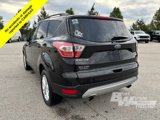 Used 2018 Ford Escape SEL image 4