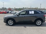 Used 2020 Ford Escape SE image 4