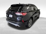 Used 2022 Ford Escape SEL image 5