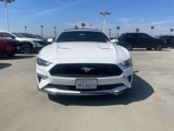 Used 2021 Ford Mustang Premium image 2