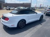 Used 2019 Ford Mustang Premium image 2