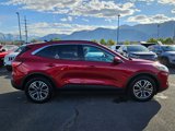 Used 2020 Ford Escape SEL image 2