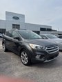 Used 2019 Ford Escape Titanium image 2
