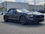 Used 2023 Ford Mustang Premium image 3