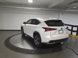 Used 2021 Lexus NX 300h AWD w/ Premium Package image 5