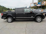 Used 2013 Ford F150 Platinum image 4