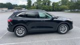 Used 2021 Ford Escape SE w/ Convenience Package image 6
