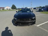 Used 2022 Ford Mustang Coupe w/ Equipment Group 101A image 2