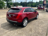 Used 2019 Cadillac XT5 Premium Luxury image 5