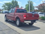 Used 2015 Ford F150 XLT w/ Equipment Group 302A Luxury image 4