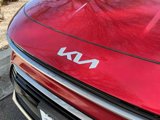 Used 2024 Kia Niro SX Touring image 4