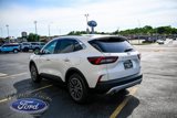 New 2025 Ford Escape SE image 5