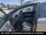 Used 2019 Ford Escape SEL image 4