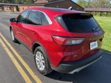 Used 2022 Ford Escape SE image 5