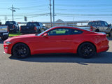 Certified 2019 Ford Mustang Coupe w/ Black Accent Package image 6
