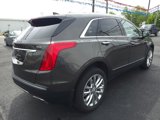 Used 2019 Cadillac XT5 Platinum image 4