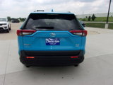 Used 2019 Toyota RAV4 XLE Premium image 4