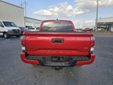Used 2023 Toyota Tacoma Limited image 6