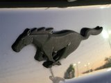 Used 2017 Ford Mustang Coupe image 5