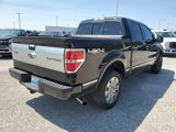 Used 2013 Ford F150 Platinum image 4